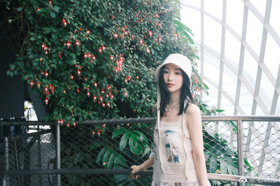 包养关系风险分析 包养关系风险分析